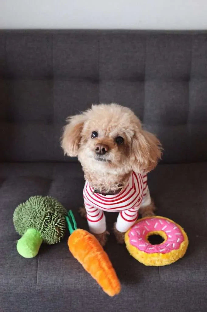 Why Shop Local for Pet Supplies