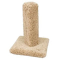 WARE KITTY CACTUS 18"