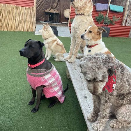 Daycare Image
