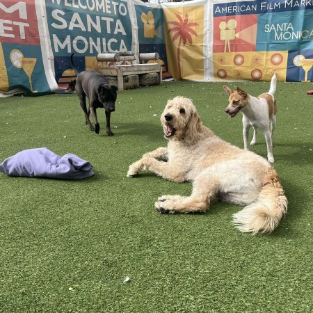 Daycare Image