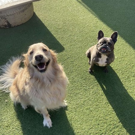 Daycare Image