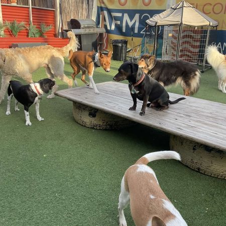 Daycare Image