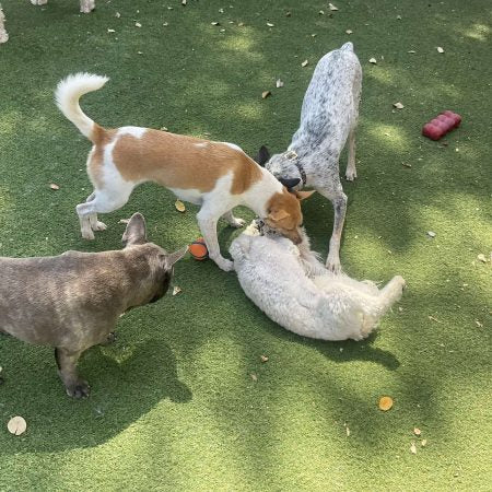 Daycare Image