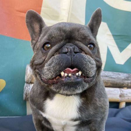 Daycare Image