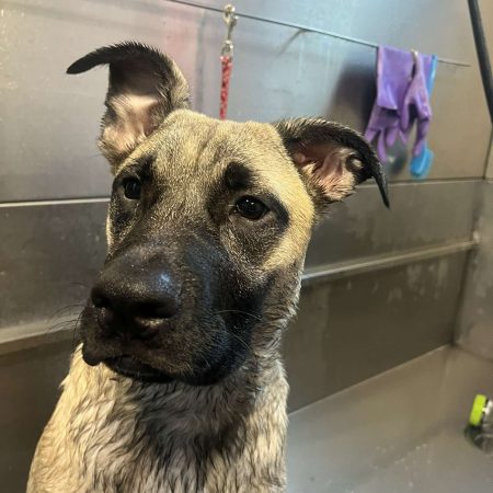Daycare Image