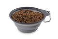 Dexas Collapsible Travel Cup 2-Cup LT Gray