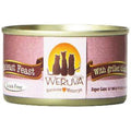WRV Cat Mideast Feast 3z
