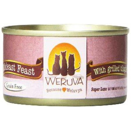 WRV Cat Mideast Feast 3z