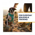 RUFFWEAR Front Range Dog Harness Spring Mountains L/XL