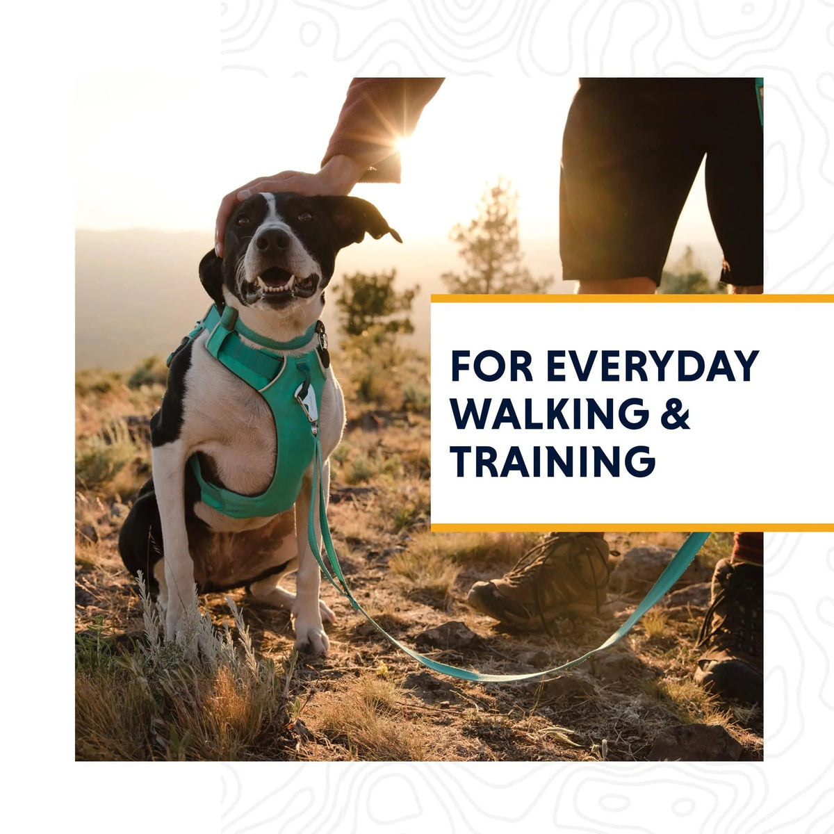 RUFFWEAR Front Range Dog Harness Spring Mountains L/XL